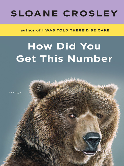 Title details for How Did You Get This Number by Sloane Crosley - Available